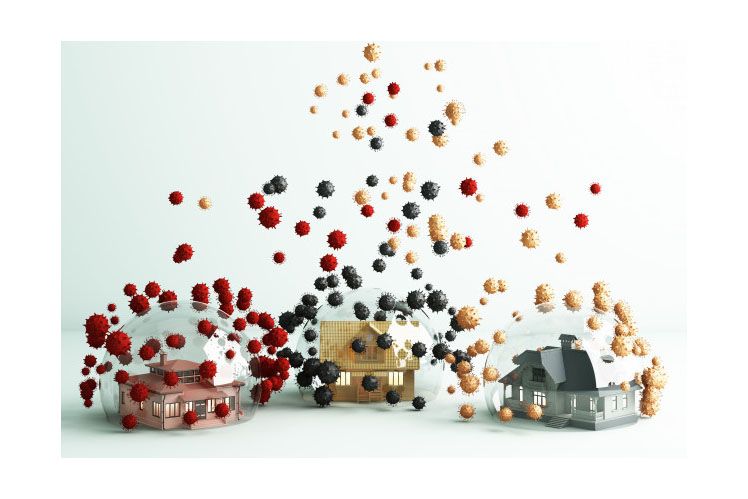 image for slide